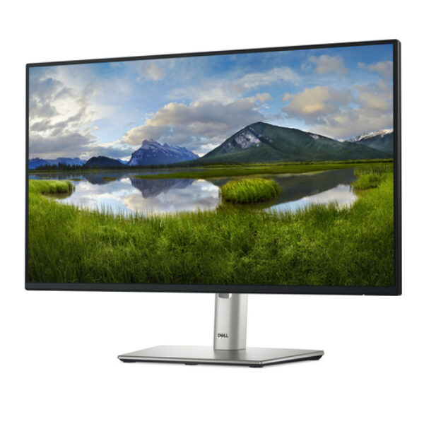 DELL Pro Plus P2425H monitor komputerowy 60,5 cm (23.8") 1920 x 1080 px Full HD LCD Czarny