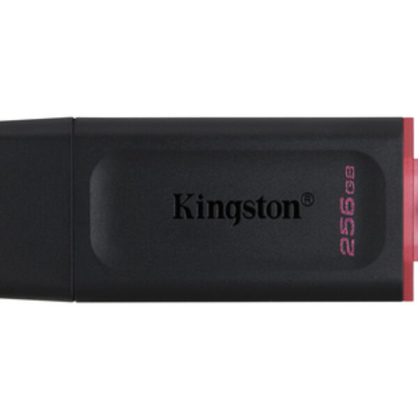 Kingston Technology DataTraveler Exodia pamięć USB 256 GB USB Typu-A 3.2 Gen 1 (3.1 Gen 1) Czarny, Różowy