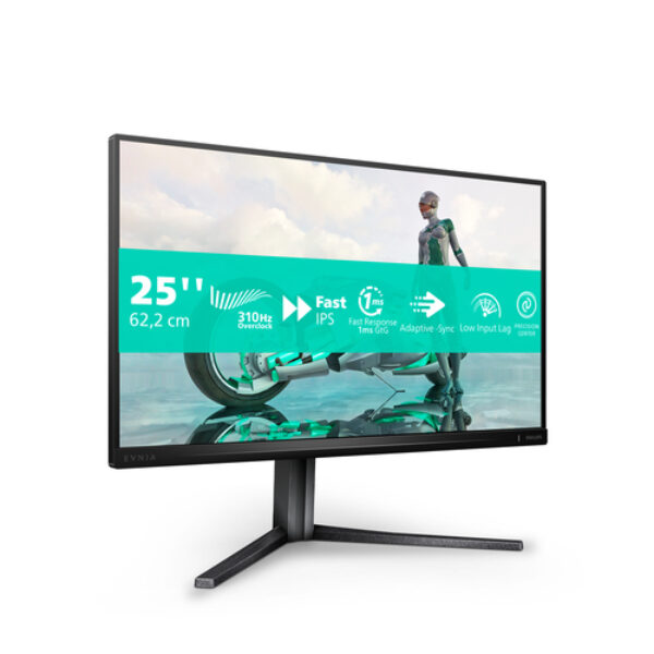 Philips Evnia 3000 25M2N3200U/00 monitor komputerowy 62,2 cm (24.5") 1920 x 1080 px Full HD LCD Szary