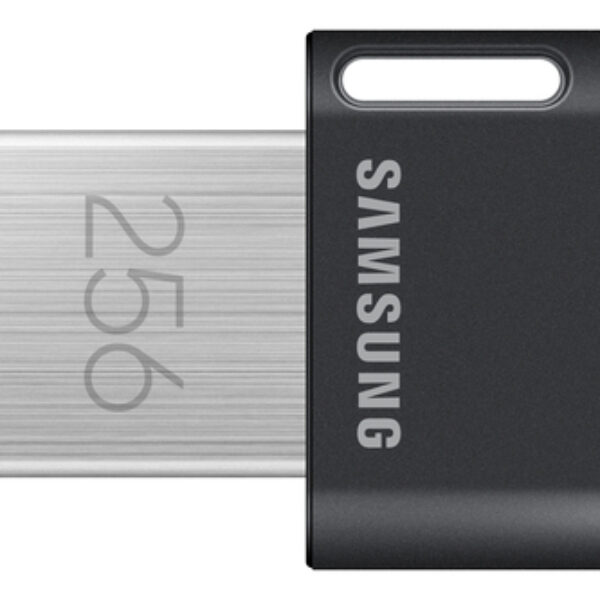 Samsung MUF-256AB pamięć USB 256 GB USB Typu-A 3.2 Gen 1 (3.1 Gen 1) Szary, Srebrny